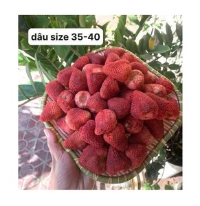 สตรอว์เบอร์รีอบแห้งแบบแช่แข็ง ขนมขบเคี้ยวปราศจากกลูเตน สำหรับขายส่ง ขายปลีก เบเกอรี่ ของหวาน ซีเรียล โยเกิร์ต เครื่องดื่ม และวัตถุดิบอาหาร - Product Image 1