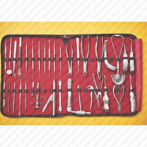 Ensemble d'instruments dentaires de haute qualité, kit d'outils orthodontiques, instruments chirurgicaux dentaires en acier inoxydable dans une valise - Product Image 3