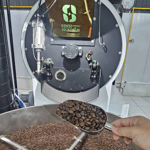 Authentic 60kg Bag Green <b>Robusta</b> <b>Coffee</b> <b>Beans</b> Honey Natural Process Clean High Ripe 95% Direct Supply Vietnam - Product Image 3