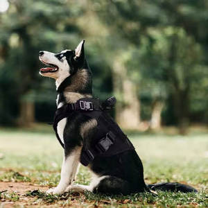 Arnés de entrenamiento para perros de alta resistencia para senderismo, camping y tareas al aire libre, chaleco táctico para perros resistente. - Product Image 5