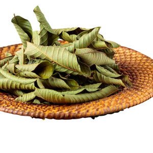 Precio de Liquidación: Hoja de Guayaba Seca al Sol, Hoja Entera, Precio Directo de Fábrica, Hojas Herbales Secas al Sol, Empacadas en Caja de Cartón, Origen Vietnam - Product Image 4