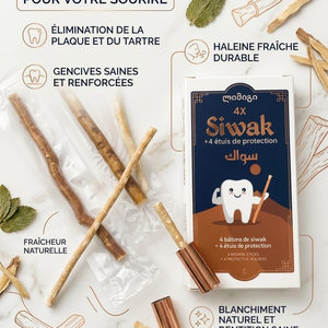 Natural Herbal Miswak Sticks Fresh Teeth <b>Cleaner</b> Pack of Four with <b>Plastic</b> Holder for Healthy Gums and Oral Care - Product Image 2