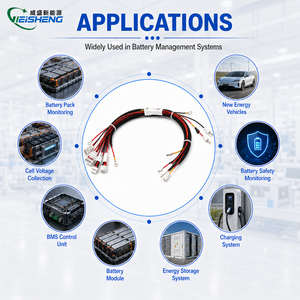Harnais de collecte de signal BMS isolé en PVC/PTFE sur mesure pour batteries de stockage d'énergie automobiles/électroniques OEM - Product Image 2