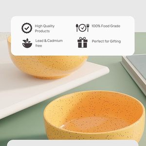 Best Quality Ceramic Bowl Stylish Serving Bowl for Soup Salad Rice Snacks and Dining Use Affordable Price - Product Image 5