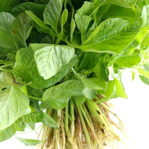 Graines de spinaise stabilisées pour semis mécaniques et systèmes de production agricole à grande échelle pour l'agriculture moderne - Product Image 3