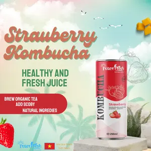 250 ml Interfresh Erdbeere dosen schwarzer Tee Extrakt mit Fruchtsaft hochwertiges angesagtes Produkt aus Vietnam