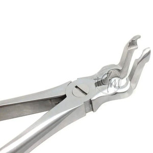 Pinzas de Extracción, Instrumento Dental Profesional de Acero Inoxidable, Equipo de Extracción para Cirugía Oral - Product Image 4