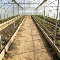 Kit d'irrigation goutte à goutte personnalisé de 1 hectare, ensemble de rubans d'irrigation goutte à goutte agricoles de 16 mm, irrigation par ligne goutte à goutte pour l'irrigation des fermes et des jardins