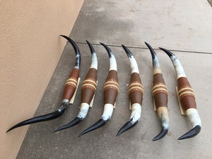 Juego de Cuernos de Toro Montados, Ecológicos, Hechos a Mano, Rústicos, Modernos, con Diseño Animal, Cuernos Pulidos, Decoración del Hogar Estilo Western, Pascua - Product Image 2
