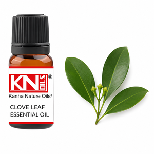 Huile Essentielle de Clou de Girofle 100% Pure de Qualité Supérieure, Fabricant en Gros, Syzygium aromaticum Certifié Biologique, Exportateur Mondial - Product Image 1