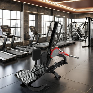 QLI QSA074 EQUIPO DE Fitness comercial Extra grande cargador gran oferta Metal gimnasio ejercicio equipo cinturón Squat listo envío - Product Image 1