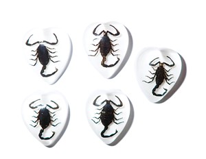 Scorpion noir, spécimen réel, cabochon en plastique, cœur 17x21 mm, fond plat blanc, pour artisanat et fabrication de bijoux - Product Image 6