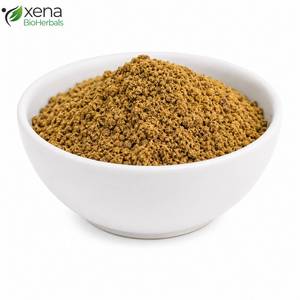 Proveedor Certificado de Extractos Botánicos, Extracto de Raíz de Inula Racemosa en Polvo, Ingrediente Herbal Premium para el Bienestar Respiratorio - Product Image 1
