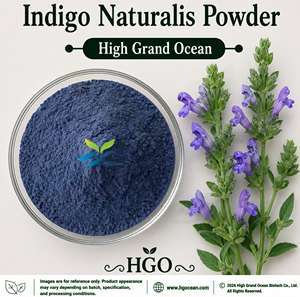 Suministro Directo de Fábrica HGO de Polvo Natural de Indigo Naturalis, Polvo Herbal Secado por Pulverización o Liofilizado - Product Image 1