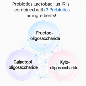 Poudre de supplément probiotique avec prébiotiques pour femmes et hommes adultes-100 milliards d'UFC Probiotique de marque privée - Product Image 4