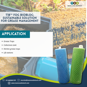 Servicio de alimentos Sistemas de aguas residuales Bloque FOG basado en enzimas Producto de enzimas industriales - Product Image 3