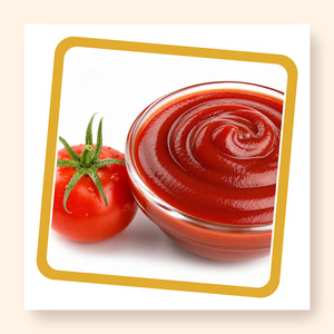 Ketchup de Tomate Delicioso en Venta en Vietnam, Estándar Internacional de Fábrica, Empacado en Botellas de Varios Tamaños - Product Image 5