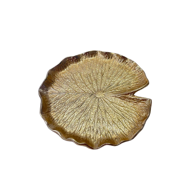 ตามที่แสดง