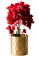 Tanaman Bougainvillea dalam Pot Emas Berlapis, Pot Bunga Dekoratif Elegan untuk Dekorasi Rumah, Kantor & Hotel