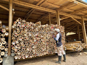 Vietnam <b>Bamboo</b> Poles (4-10m 3-10cm) for Furniture Manufacturing | Reliable Supplier & OEM Available - Product Image 2