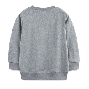 Sweat-shirt à manches longues pour garçons et filles, en coton biologique, doublé en polaire, imprimé graphique, écologique, vente en gros - Product Image 2