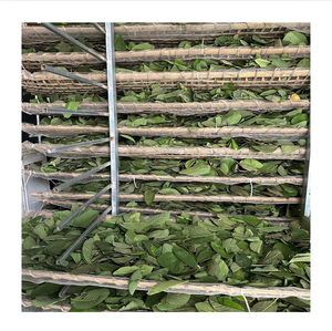 Hojas de Guayaba Secas Premium, Té de Hierbas Natural, Producto Agrícola para Exportación al por Mayor - Product Image 1