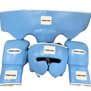 Precio de Fábrica, Set de Boxeo Personalizado para Principiantes, Guantes, Pantalones Cortos, Protector de Cabeza, Vendas, Kit de Entrenamiento, Proveedor Mayorista OEM - Product Image 1