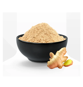 Jengibre en Polvo Liofilizado 0% Humedad, 2 Años de Vida Útil, Empaque Personalizado a Granel, Hecho en Maharashtra - Product Image 1