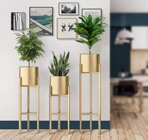 Supports à fleurs modernes en métal plaqué or avec jardinières circulaires pour plantes vertes d'intérieur, design minimaliste, décoration intérieure - Product Image 1
