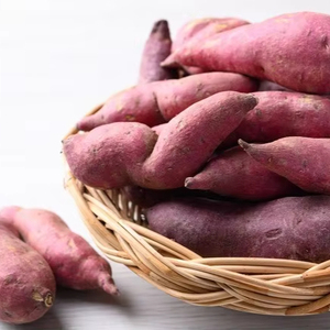 Batido de Patata Dulce Orgánica Congelada IQF de Alta Calidad, para Hornear, Puré, Sopa, Grado Premium, Preparación Fácil para Dieta, 1kg X10 - Product Image 3