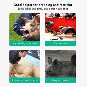 Pértiga de acero inoxidable para capturar cerdos, herramienta ajustable para sujetar animales, atrapador agrícola con cierre de resorte para cerdos, perros, etc. - Product Image 3