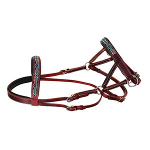 Élégante bride anglaise en cuir pour cheval, version 1, avec frontal rembourré réglable, ajustement sécurisé pour les leçons, l'équitation en club et l'entraînement. - Product Image 4