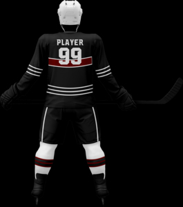Custom Designs <b>Men's</b> Ice hockey Uniform Sets V-Neck Outdoor Sports Practice Wear Field Hockey Uniforms Sets - Product Image 4