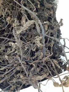 Hojas de hierba negra natural deshidratadas para la producción de alimentos saludables, calidad de exportación, empaquetado a granel disponible para la venta - Product Image 3