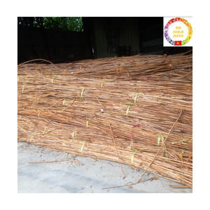 Raw Rattan Poles | Natural Cane Vietnam Bulk Supply for Furniture <b>Frame</b> & Garden Support - Product Image 5