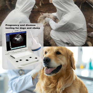 Mesin <span class=keywords><strong>Ultrasound</strong></span> portabel kualitas tinggi mesin dasar Laptop BW pemindai <span class=keywords><strong>Ultrasound</strong></span> peralatan rumah sakit mesin <span class=keywords><strong>Ultrasound</strong></span> untuk manusia - Product Image 6