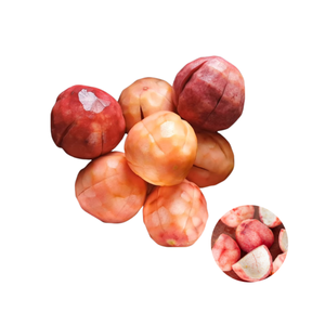 Usine au Vietnam écorces de fruits de la passion surgelées aux normes ISO à bas prix en parfait état - Product Image 1