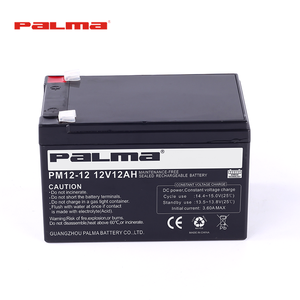 광동성 중국 팔마 PM12-12 12V12Ah 유지 보수 무료 납산 VRLA 태양 에너지 저장 배터리 - Product Image 2