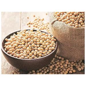 Soybean Seeds High Quality Non-GMO Planting Seeds for Agriculture Farming Wholesale Bulk Supply Export Supplier Manufacturer - Product Image 1