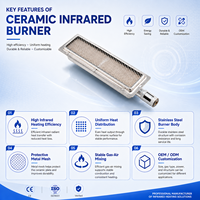 Brûleur infrarouge en céramique pour four, pièce de rechange, élément chauffant, rôtissoire, machine à shawarma, GPL/GN, ODM/OEM
