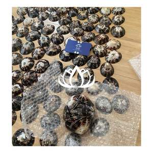 Copa de lactancia de concha de limpiasurcos de CALIDAD PREMIUM 2026, cubierta de concha pulida para recolección de leche y uso en lactancia - Product Image 1