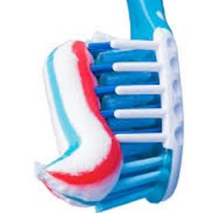 ยาสีฟันสมุนไพรไวท์เทนนิ่ง 100 มล. สำหรับใช้ในบ้าน - ราคาขายส่ง - Product Image 1