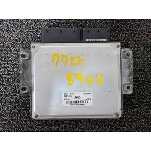 ECUs y Módulos de Computación Usados de Carnival 391044X945 - Product Image 1