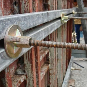 Tige filetée carrée sur mesure avec écrou à oreilles en acier au carbone, rigidité 600/400HV, pour application de coffrage en béton - Product Image 3