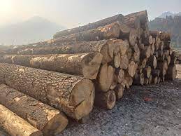 Blocs de bois industriels d'ébène durables de 6 pieds de long, bois de teck scié, bois de teck en vrac, en vente pour l'exportation - Product Image 6