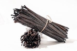 Alubias de vainilla Tahitensis-Grado 1-Vainas de vainilla naturales secas orgánicas de Indonesia, alta calidad, superventas, mejor precio - Product Image 6