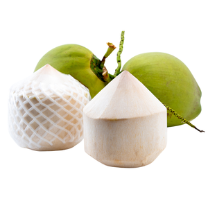 Cocos Verdes Frescos de Grado Agrícola con Cáscara Entera y Agua de Coco Dulce, Venta al por Mayor desde Vietnam - Product Image 1