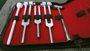 Ensemble de 5 diapasons chirurgicaux manuels en acier, diapasons médicaux - Product Image 5