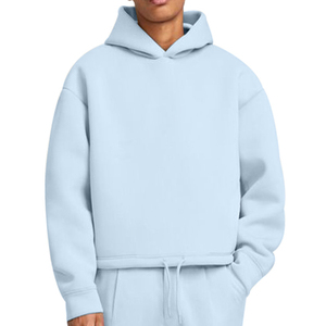 High Quality Luxury Hoodie y2k plain Hoodies 100% Cotton Fleece Pullover Heavyweight men's Hoodie - Product Image 5
