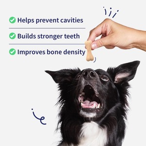 OEM ODM Os à mâcher naturels pour chiens, riches en protéines, sans céréales, au calcium, pour des dents fortes et des os sains - Product Image 6